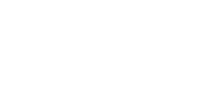 UEFA Şampiyonlar Ligi